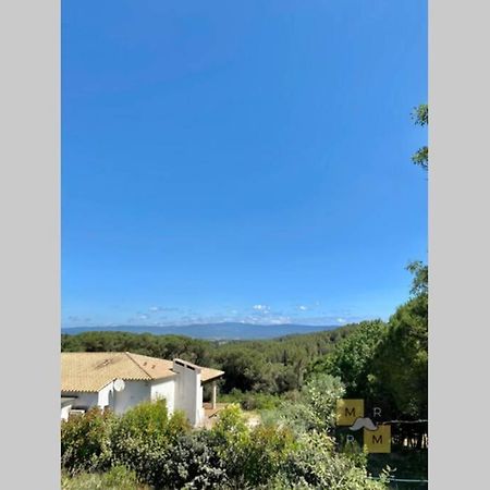Le Soleil Du Lac Parking Privatif 100 M Du Lac Villa Carcassonne Eksteriør billede